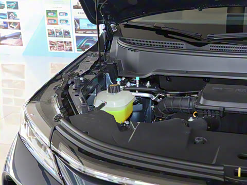 2026�� 165km ������������Max 5��