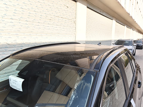 2024�� ˫�� 2.5L E-CVT��������PLUS��