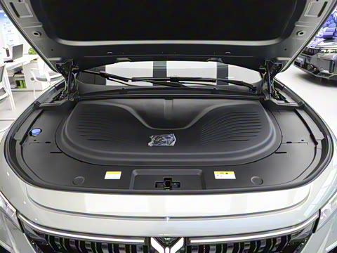 2025�� 318 318km �������ΰ�