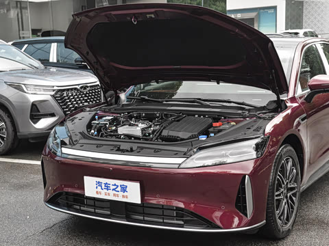 2025�� 260������������