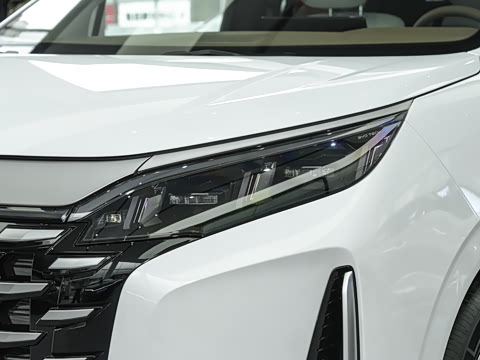 2025�� DM-i 1.5T 100km ��Խ��