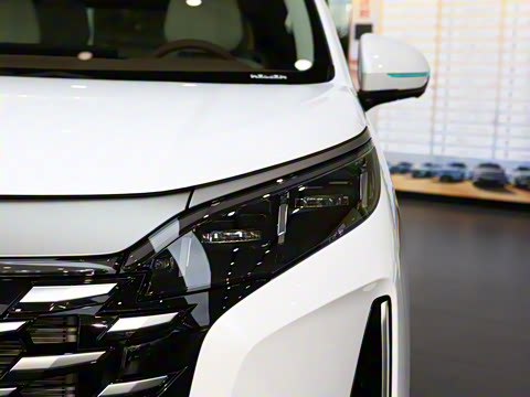 2025�� DM-i 1.5T 180km ��Խ��