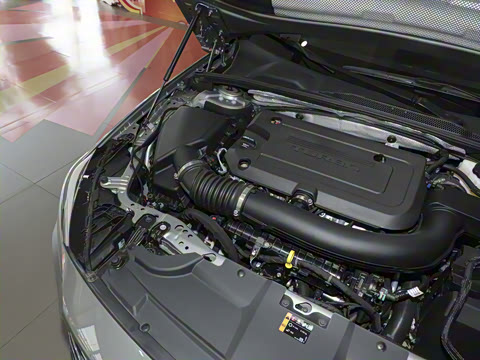 2024�� 28T ������