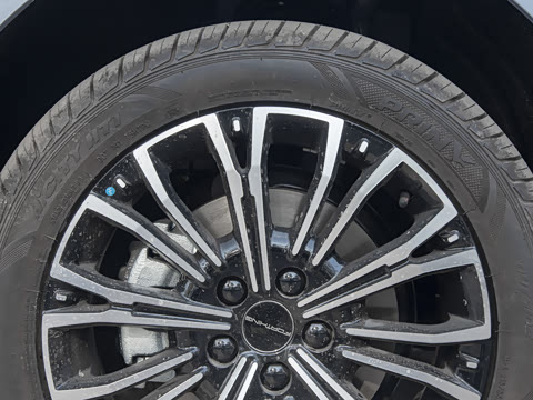 2025�� PHEV ������ 7��