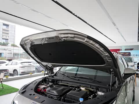 2024�� 135�콢��