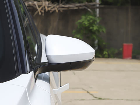 2025�� 205��������������