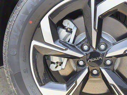 2025�� 205��������������