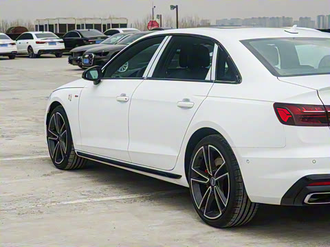 2025�� 200���������� 45 TFSI quattro ��ѡ������