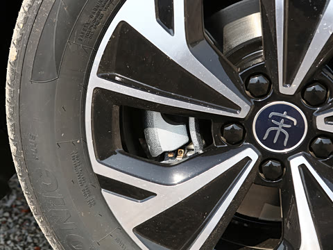 2025�� �ڶ��� DM-i 115KM��Խ��