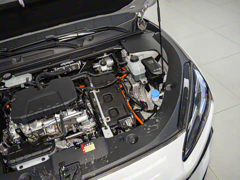 2024�� 60km ����