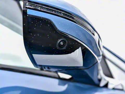 2025�� 550��ѡ��