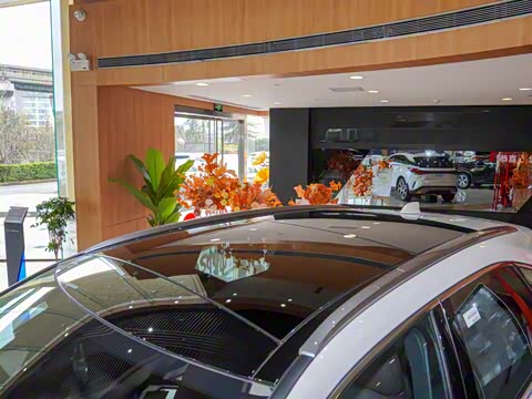 2025�� 350h ����������