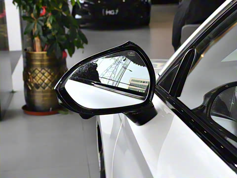 2025�� 2.0T Trophy+ �����˶���