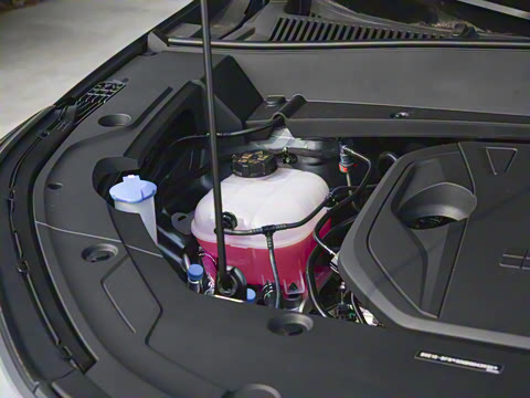 2025�� 55km ̽����