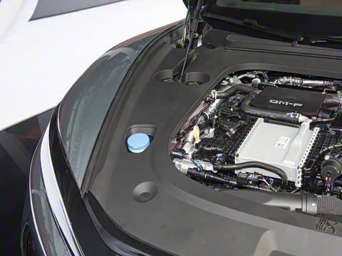 2025�� DM-p ���������״��콢��