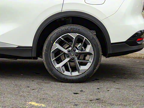 2025�� ���Ĵ� 1.5T ������ �ǻ۾��ð�