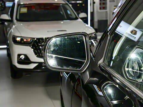 2025�� 2.0T�Զ�������Ӣ�� ����