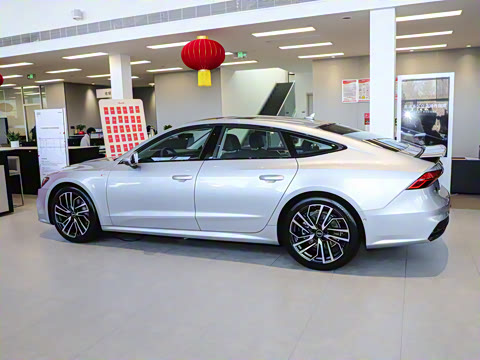 2025�� 45 TFSI ��ѡ��