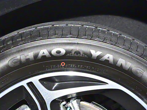 2024�� ���� 310 ����PRO��