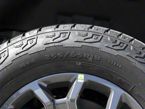 2023�� ̽�������Զ�ԽҰ�� ����