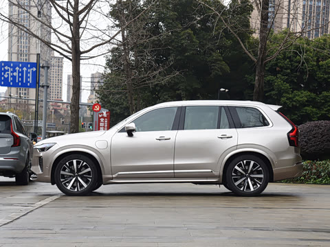 2025�� �Ŀ� T8 ��������� 7��