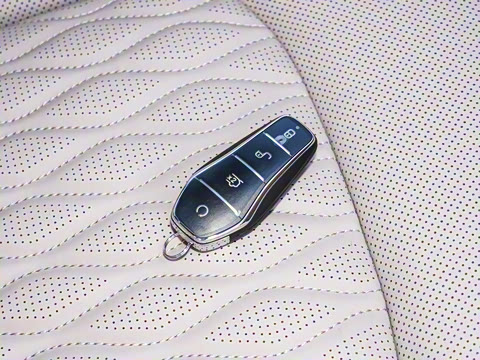 2025�� DM-i �Ǽݰ� 125KM�����