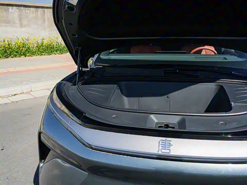 2025�� EV 600KM���������״��콢��