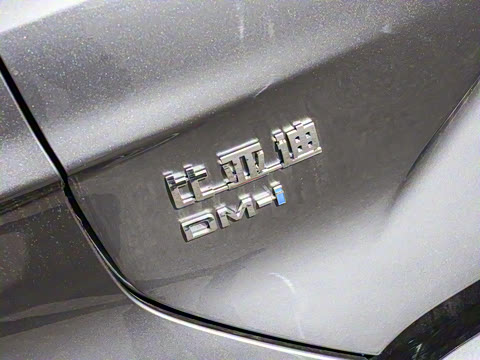 2025�� DM-i �Ǽݰ� 112KM ������