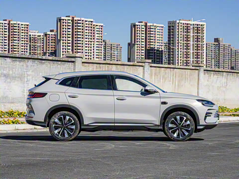 2025�� DM-i �Ǽݰ� 112KM ������