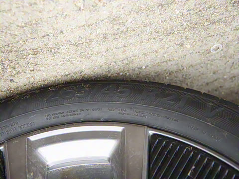 2025�� ����������Max