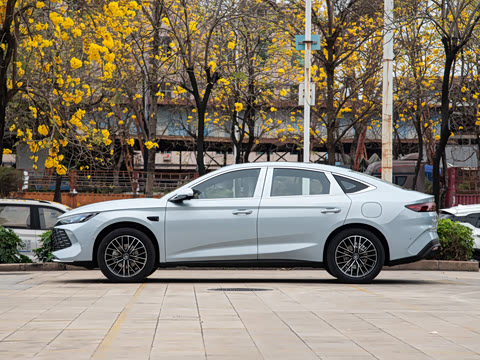 2025�� DM-i �Ǽݰ� 120KM׿Խ��