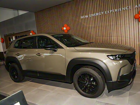 2024�� 2.5L ���а�