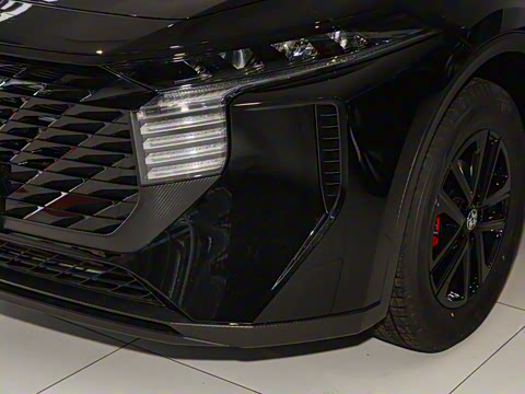 2024�� 260T ���ǰ� Pro