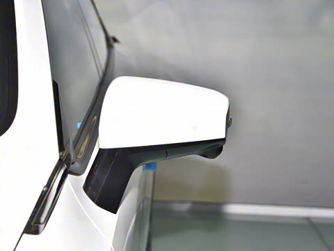 2025�� 530Ultra  �����Ǽ�AD PRO�����