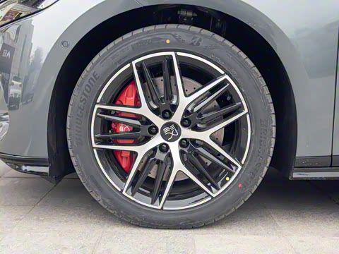 2025�� DM-p ���������״��콢��