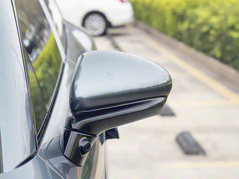 2025�� DM-p ���������״��콢��