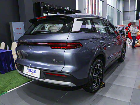 2025�� �ڶ��� DM-i 115KM��Խ��