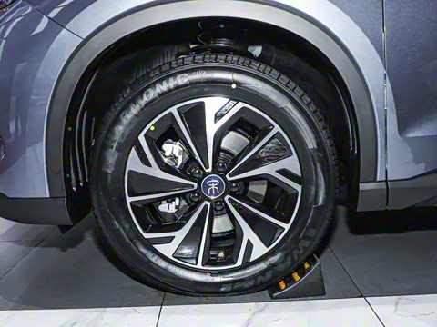 2025�� �ڶ��� DM-i 115KM��Խ��