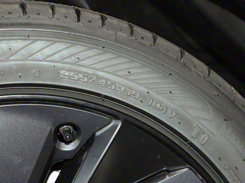 2025�� �������� �׷���