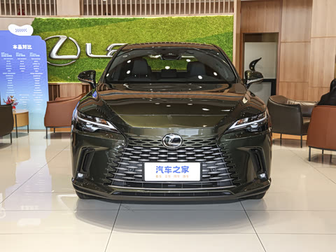 2025�� 300 ����������