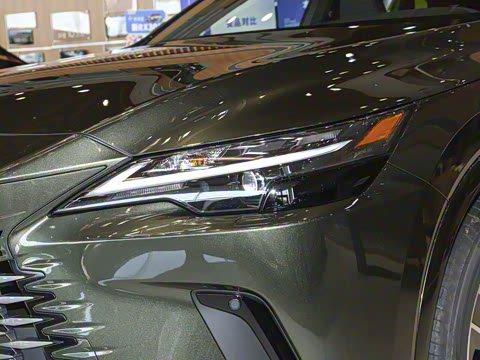 2025�� 300 ����������