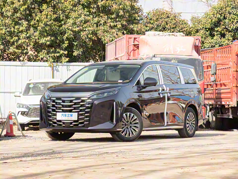 2025�� DM-i 1.5T 100km ��Խ��