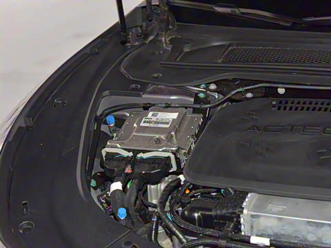 2025�� ���� Max ����������ʻ