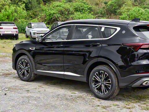 2024�� �ھ��� 1.5T �ֶ��ھ� 5��