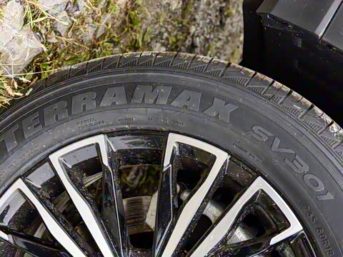 2024�� �ھ��� 1.5T �ֶ��ھ� 5��