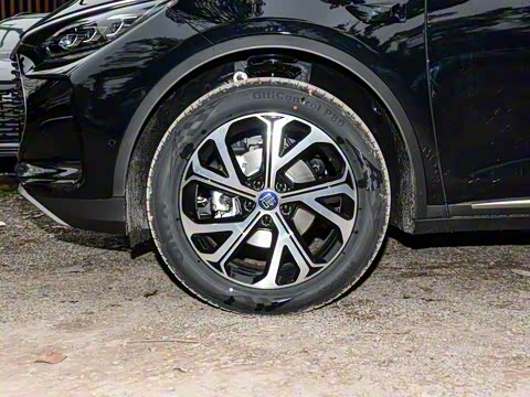 2025�� �Ǽݰ� DM-i 115KM �����