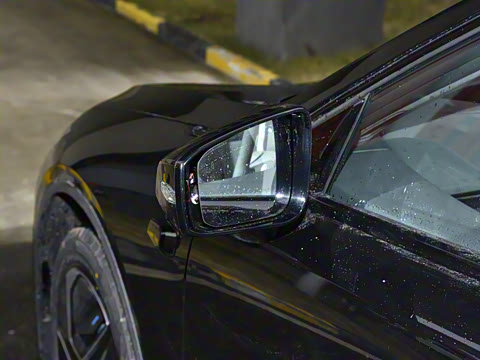 2025�� 530Ultra  �����Ǽ�AD PRO�����