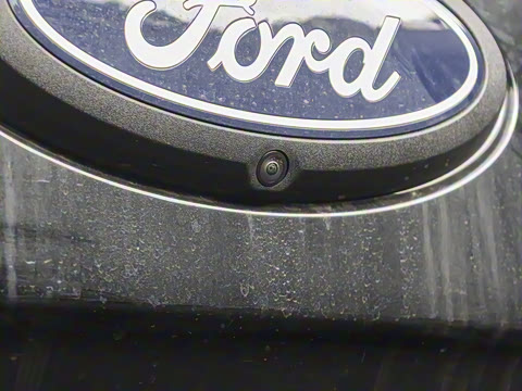 2025�� ɳ���ر�� ����