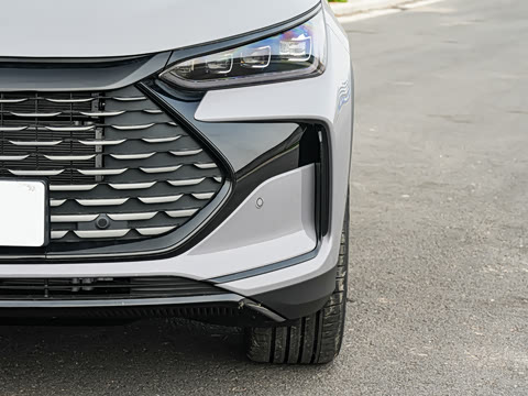 2025�� �Ǽݰ� DM-i 115KM �콢��