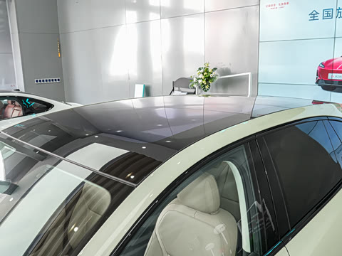 2025�� 520 ��ѡ��